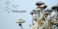 News coverage of psilocybin often outpaces the science, systematic review finds