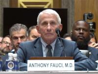 No surprise as Senate committee holds Fauci in contempt