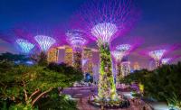 Wayfarer exclusive: insider’s guide to the Lion City from Pan Pacific Singapore’s Concierge team