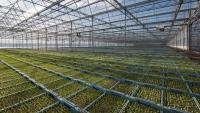 Fresh produce sector launches food security campaign