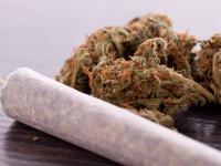 Ontario killer to be less frequently monitored in community despite concerns about cannabis use linked to psychosis