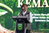 Indonesia bolsters nursery network to back environmental push