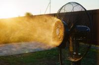 Health officials report record-breaking 50 heat-related deaths this summer