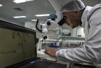 Virginia Confirms First Locally Acquired Dengue Case After a Single Mosquito Bridged Two People