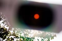 Expert reveals the kitchen utensil that will help you watch the solar eclipse safely
