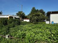 Demonstration Garden Shows the Benefits of Cover Crops, Compost, and Pollinator Habitat