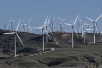 Trump administration pays $1.22 billion to kill wind power projects