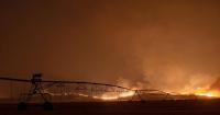 As Tartar Fire grows, Idaho ranchers grapple with devastating losses