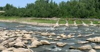 July heat produces 'flash drought' with more than half of North Dakota affected