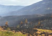ANALYSIS: Growing danger posed by wildfires for Badenoch and Strathspey and wider UK is clear for all to see