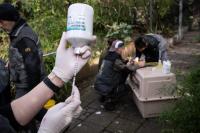 China Reports Four More H9N2 Infections as U.S. Bird Flu Risk Stays Low for the General Public