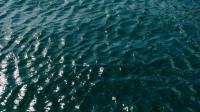 One state park beach closed due to E. coli levels