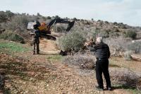 Israel orders uprooting of trees on 316 dunums in West Bank for settlement expansion