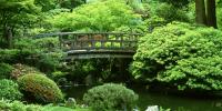 5 Must-Visit U.S. Gardens for Plant Lovers