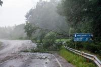 Windstorm toppled 8,000 cubic metres of timber in southern Lithuania