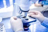 Eurostat: Romania allocated only EUR 18.8 per inhabitant to R&D in 2025, lower than in 2015