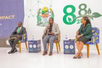 FAO launches TANFISH, a digital system to help fish processors access global market