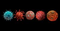 Scientists use AI to create viruses that don't exist in nature, according to study