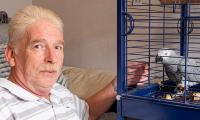 Parrot stolen during burglary nine years ago finally reunited with owner after being found hopping around Ikea car park