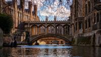 Cambridge University professor resigns after major plagiarism accusations prompt investigation