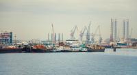 Customs seize 800 kilograms of cocaine hidden in cassava flour at Amsterdam port