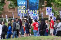 United Academic Workers