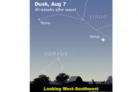 This Week's Sky at a Glance, August 7 – 16