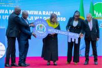 Why Vision 2050 may well be a mathematical illusion