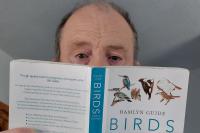 What a bird brained twitcher has seen in the centre of town