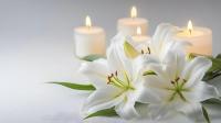 Obituaries: Aug. 7, 2026