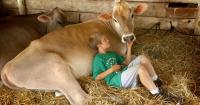 Why do farm children tend to avoid asthma and allergies? Scientists find key bacteria