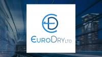 EuroDry Q2 Earnings Call Highlights