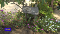 This Week In Barbados: Walkers Reserve’s journey to  restoration