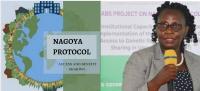 UGANDA’S SHS6.5BN NAGOYA PROJECT STUMBLES! Investigation Flags Unspent Billions, Slow Implementation & Lack of Plan To Protect Gains As Closure Looms
