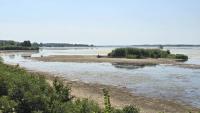 Low Danube Levels Disrupt Shipping