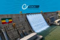 Ethiopia Urged to Build More Dams on Abay River
