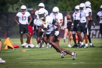 Photos: South Carolina Football Preseason Practice
