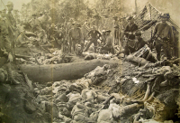 Uncovering America’s Forgotten Massacre in the Philippines