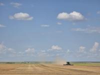 Fall conditions close to average, if a little warm, according to Environment Canada