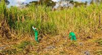 Food prices edge up in July amid heat and energy costs