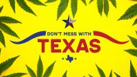Give Texans A Break On The Bud: Why Critics Say Police Should Focus On Violent Crime Instead Of Weed