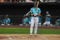 Freebirds cage Chukars, who lose ground in playoff race with defeat