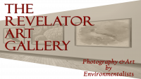 Submit Your Environmental Photos and Art to the Revelator Gallery
