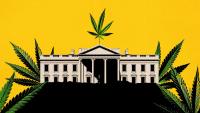 The White House's Push To Pause the Hemp Ban Smells Like Cronyism