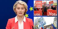 EU claims Brussels 'never intervenes in referendums' after being told to keep nose out of Iceland's 'Brexit-style' vote