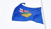 Alberta's Gambling Ad Surge Draws Public Health Concerns