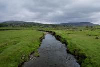 Yorkshire Dales rivers and their wildlife 'particularly vulnerable to climate change'