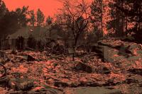 Why the Fix Our Forests Act Is Still Stuck in Congress