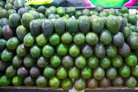 California avocado growers insist on imposing seasonal restrictions on Mexican imports