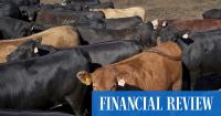 Indonesian wealth fund takes $3.6b stake in Australian meat giant JBS